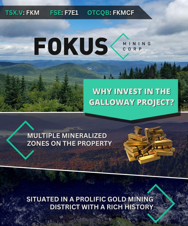 Fokus Galloway Infographic