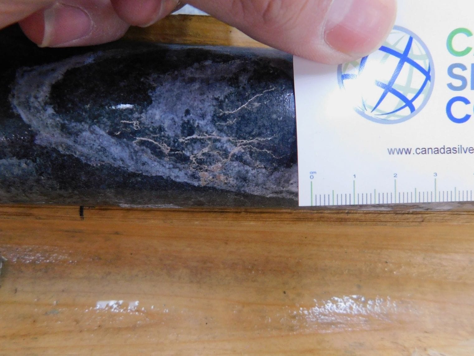 Figure 2: Silver and cobalt mineralization in hole CS-21-51 (2,736 g/tonne Ag)