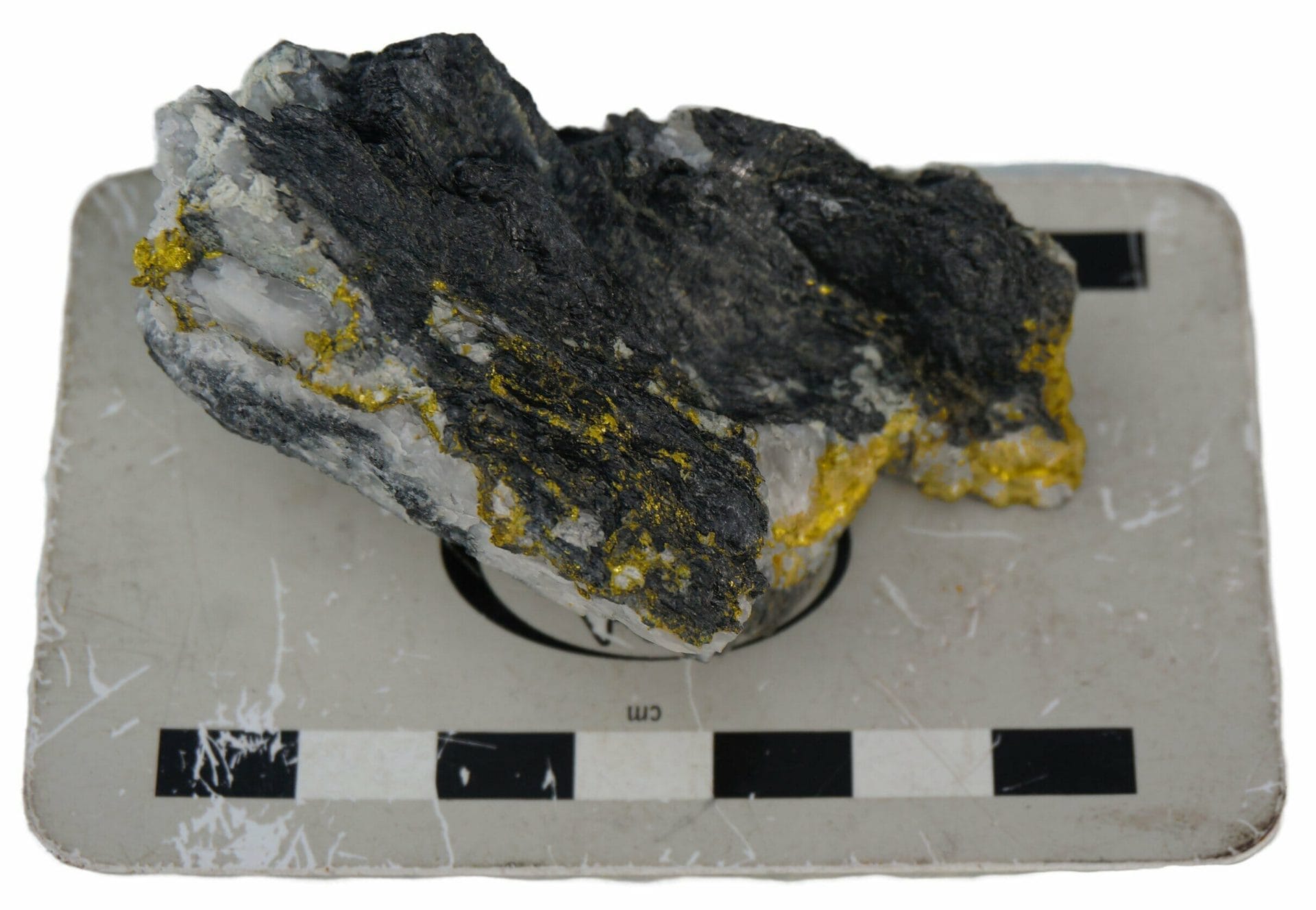 Figure 1 - Sample of in-situ bonanza bedrock gold - quartz vein in phyllite.