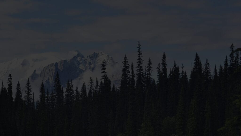 Treesmountains1